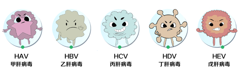 科普文章代写作案例|【世界肝炎日】科普肝脏“求救信号”，别让你的身体发动机告急(图3)